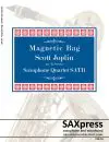 Magnetic Rag