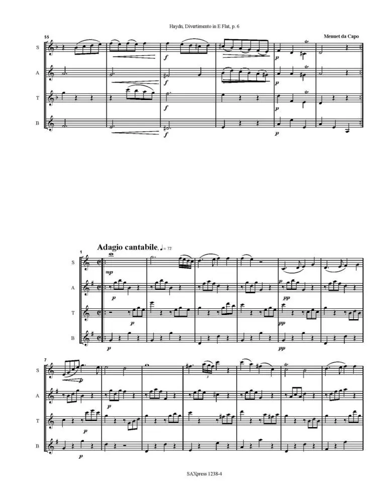Divertimento in E Flat | Haydn
