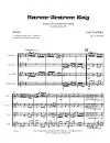Harem Scarem Rag