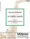 In Celtic Lands