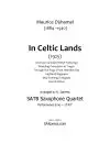 In Celtic Lands