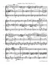 1232-3-F Paladilhe Danse Noble 00 Flute Score_Page_4 Danse Noble Flute Trio