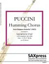 Humming Chorus from Madama Butterfly