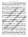 1392-2 - FIALA - Duo Concertante - sample -_Page_05 Duo Concertante in F